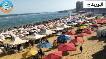 وسط نسب إشغال مرتفعة تباين ألوان الرايات بشواطئ الإسكندرية.. صور