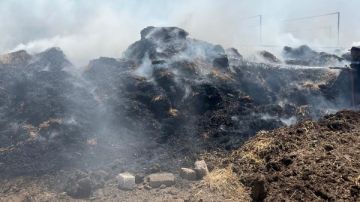 السيطره على حريق في مزرعة مواشى بطوخ