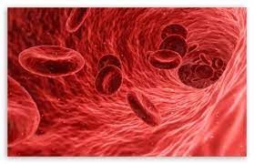 فقر الدم يسرق طاقتك بصمت أعراض وأسباب وعلاج الأنيميا فقر الدم يسرق طاقتك بصمت أعراض وأسباب وعلاج الأنيميا