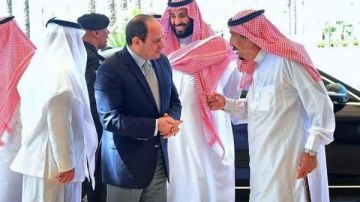 نيوم تجمع الرئيس السيسي وولي العهد السعودي محمد بن سلمان.. شراكة استراتيجية فيديو لمستقبل المنطقة