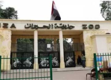 افتتاح حديقة الحيوان 2025.. الموعد وأسعار التذاكر بعد التطوير افتتاح حديقة الحيوان 2025.. الموعد وأسعار التذاكر بعد التطوير