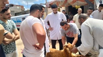 صحية بيطرية زراعية وتثقيفية.. قافلة تنموية شاملة لجامعة دمنهور