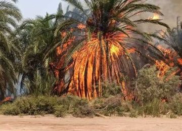 محافظ الوادي الجديد: السيطرة على حريق بقرية البشندي دون خسائر بشرية