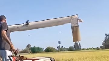 إعادة تأهيل 53 كومباين.. الزراعة الآلية تستعد لموسم حصاد الأرز في الدلتا إعادة تأهيل 53 كومباين.. الزراعة الآلية تستعد لموسم حصاد الأرز في الدلتا