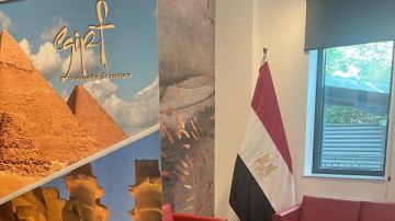 استمرار فتح لجان انتخابات مجلس الشيوخ بالخارج فى 24 دولة.. صور استمرار فتح لجان انتخابات مجلس الشيوخ بالخارج فى 24 دولة.. صور