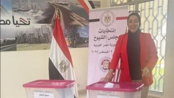 انتخابات مجلس الشيوخ.. بدء تصويت المصريين بالخارج فى 90 مقر انتخابي بالسفارات انتخابات مجلس الشيوخ.. بدء تصويت المصريين بالخارج فى 90 مقر انتخابي بالسفارات