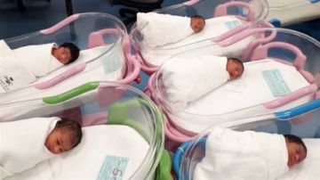 بمعدل 220 مولودا.. انخفاض في المتوسط اليومي للمواليد بمصر