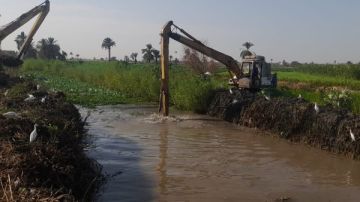 محافظ أسيوط: استمرار أعمال تطهير الترع والمصارف ورفع المخلفات للحفاظ على الرقعة الزراعية محافظ أسيوط: استمرار أعمال تطهير الترع والمصارف ورفع المخلفات للحفاظ على الرقعة الزراعية