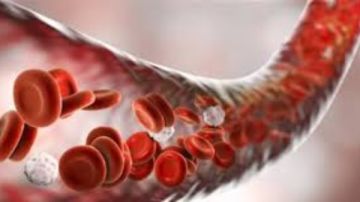 4 فواكه لتنقية الدم من السموم وحماية الجسم