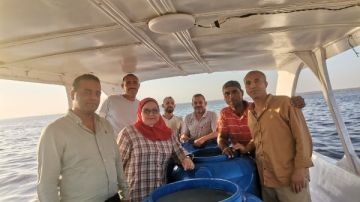 إطلاق الدفعة الرابعة من يرقات الجمبري في بحيرة قارون