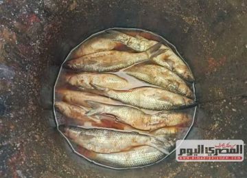 ضبط 400 كيلو لحوم وفسيخ وأسماك مدخنة مجهولة المصدر بسيدي سالم