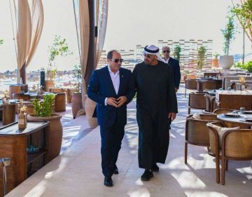 الموقع الرئاسي ينشر فيديو مباحثات الرئيس السيسي وبن زايد بالعلمين الجديدة الموقع الرئاسي ينشر فيديو مباحثات الرئيس السيسي وبن زايد بالعلمين الجديدة