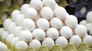 15 جنيها دفعة واحدة.. تحرك مفاجئ في أسعار البيض بالأسواق