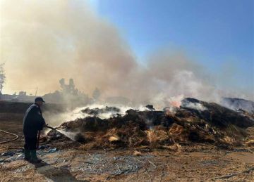 بـ11 سيارة إطفاء.. السيطرة علي حريق بـ شونة كتان في الغربية بـ11 سيارة إطفاء.. السيطرة علي حريق بـ شونة كتان في الغربية