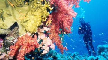 تنشيط السياحة تشارك في معرض JTTX بالسعودية