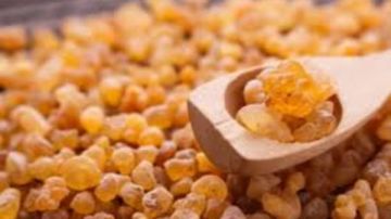 هل اللبان الذكر يعالج ضيق التنفس؟.. وما الحد المسموح يوميا؟