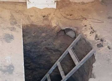 حبس شقيقين 4 أيام بتهمة التنقيب عن الأثار داخل منزلهما بالدقهلية