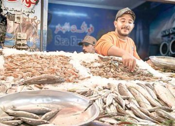  المصرى اليوم داخل سوق الأسماك الحضارى فى بورسعيد