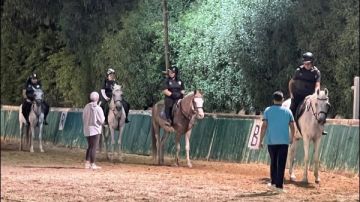 غدا.. منتخب الفروسية للأولمبياد المصري يشارك في مسابقة الفروسية الإقليمية العين 2025 غدا.. منتخب الفروسية للأولمبياد المصري يشارك في مسابقة الفروسية الإقليمية العين 2025