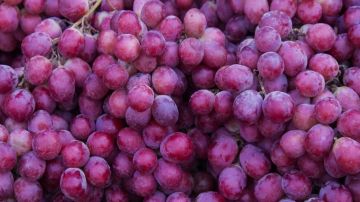 يحمى من السرطان وهشاشة العظام ..فوائد غير متوقعة للعنب الأحمر