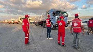 الهلال الأحمر المصري يواصل تقديم الدعم الغذائي لأهالي غزة