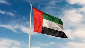 الإمارات تدعو لتحرك عاجل لوقف التصعيد الإسرائيلي في سوريا