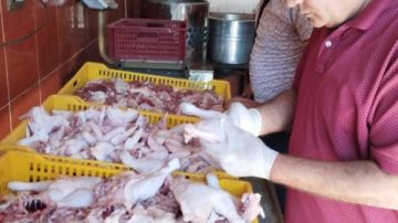 حملات بيطرية مكثفة تجوب أسواق الغربية حفاظا على صحة المواطنين.. صور