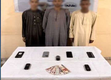 حبس 3 متهمين بارتكاب 10 جرائم نصب في المنيا