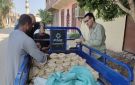 تموين الأقصر يضبط طن دقيق بلدي مدعم قبل تهريبه و15 مخالفة متنوعة - eg