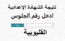 خلال ساعات.. إعلان نتيجة الشهادة الإعدادية 2025 الدور الثاني في محافظة القليوبية - eg