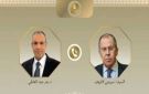 وزير الخارجية لنظيره الروسي: يجب الضغط على إسرائيل لقبول وقف إطلاق النار فى غزة - eg