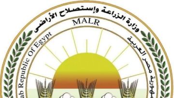 الزراعة : دعوات الامتناع عن إطعام الكلاب الضالة سلوك مخالف للشرع والقانون الزراعة : دعوات الامتناع عن إطعام الكلاب الضالة سلوك مخالف للشرع والقانون