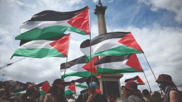 أستاذ علوم سياسية: اعتراف دول أوروبية بفلسطين خطوة إيجابية تؤثر في الموقف الدولي