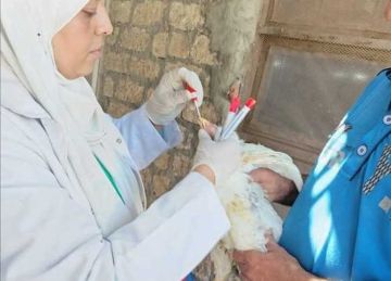تحصين 60 ألف طائر ضد أنفلونزا الطيور والأمراض الوبائية بالشرقية