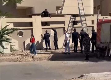 استجابة سريعة لبلاغ إنساني بالمنيا الجديدة.. إنقاذ قطة من الموت بمبنى تحت الإنشاء استجابة سريعة لبلاغ إنساني بالمنيا الجديدة.. إنقاذ قطة من الموت بمبنى تحت الإنشاء