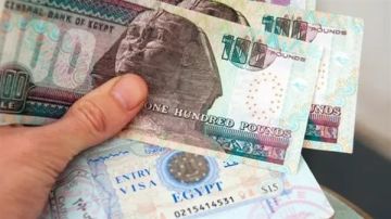 عاجل توقعات بقفزة غير مسبوقة في تحويلات المصريين بالخارج العام المقبل
