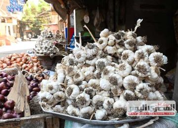 أسعار الخضروات والفواكه اليوم الجمعة 26 سبتمبر في شمال سيناء