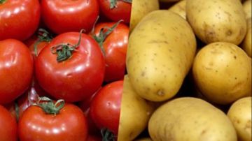 الطماطم والبطاطس.. لماذا ترتفع أسعار الخضروات بالأسواق؟ الطماطم والبطاطس.. لماذا ترتفع أسعار الخضروات بالأسواق؟