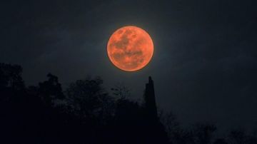خسوف كلي.. القمر الدموي يظهر الليلة في سماء مصر خسوف كلي.. القمر الدموي يظهر الليلة في سماء مصر