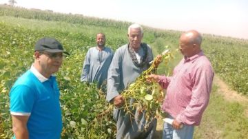 محافظ أسيوط: برامج توعية زراعية لتعظيم الاستفادة من المخلفات وتحقيق عائد اقتصادي مستدام