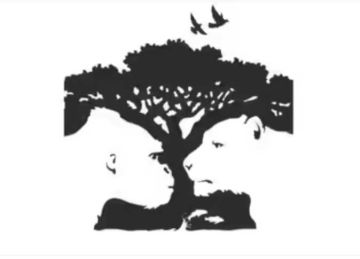 عرفت تشوف السمكتين؟.. اكتشف شخصيتك بناء على الصورة التى رأيتها أولا عرفت تشوف السمكتين؟.. اكتشف شخصيتك بناء على الصورة التى رأيتها أولا