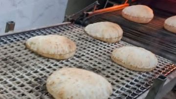 محافظ كفر الشيخ: تحرير 8 محاضر متنوعة ضد المخابز المخالفة ببيلا