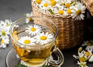 هتنام على طول .. شاي البابونج يعزز جودة النوم ويدعم الجهاز المناعي