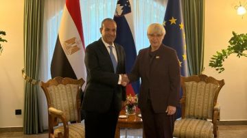 وزير الخارجية يبحث تعزيز التعاون الثنائي ودعم القضية الفلسطينية مع رئيسة سلوفينيا