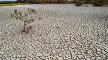 العراق يقر خطة وطنية للمياه وسط أزمة متفاقمة