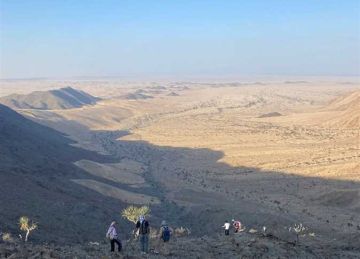 اليوم.. النطق بالحكم على 27 متهما لحيازتهم سيانيد وزئبق للتنقيب عن الذهب بالبحر الأحمر اليوم.. النطق بالحكم على 27 متهما لحيازتهم سيانيد وزئبق للتنقيب عن الذهب بالبحر الأحمر