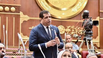 برلماني : بيان الخارجية يؤكد موقف مصر الراسخ برفض تهجير الفلسطينين