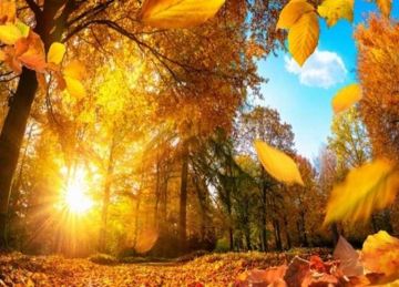 فلكيا موعد بداية فصل الخريف 2025 وإنتهاء الصيف.. اعتدال خريفي وأحداث فلكية نادرة في سبتمبر