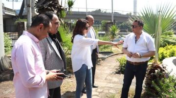 نائب محافظ الجيزة تتفقد تطوير حديقتي 6 أكتوبر والنيل ومشتل العجوزة نائب محافظ الجيزة تتفقد تطوير حديقتي 6 أكتوبر والنيل ومشتل العجوزة