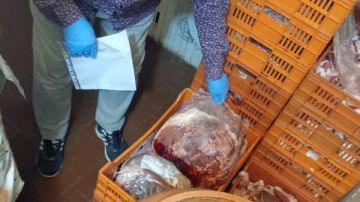 ضبط لحوم فاسدة فى حملات مكثفة بالدقهلية ضبط لحوم فاسدة فى حملات مكثفة بالدقهلية